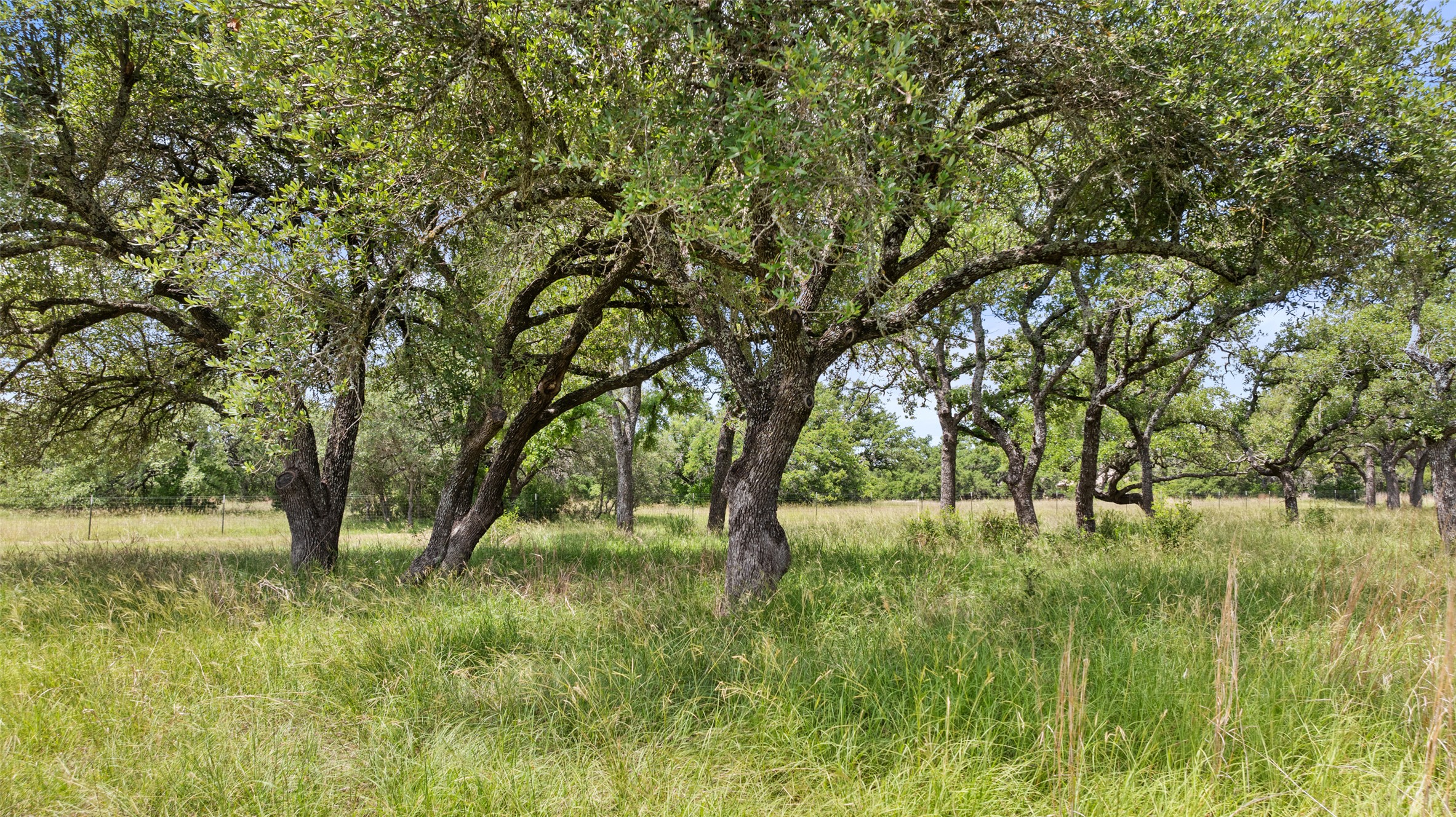 997 Sandy Oaks Ranch Road Johnson City, TX 78636 - Photo 3 of 11 a view of outdoor space with deck and yard