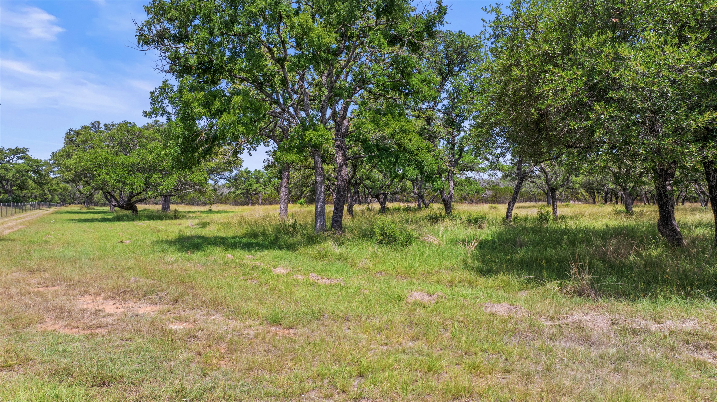 997 Sandy Oaks Ranch Road Johnson City, TX 78636 - Photo 6 of 11 a view of grassy field with trees