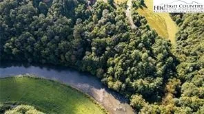 a view of a yard in a garden