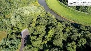 a view of a yard with plants and tree