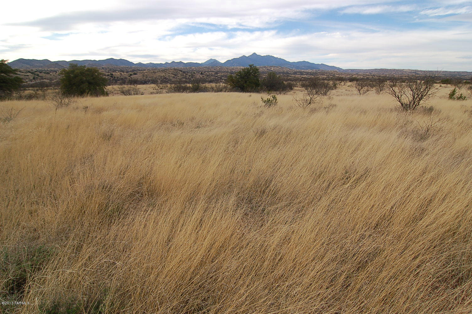 Lot D Lot D Stevens Ranch Road Patagonia, AZ 85624 - Photo 19 of 26