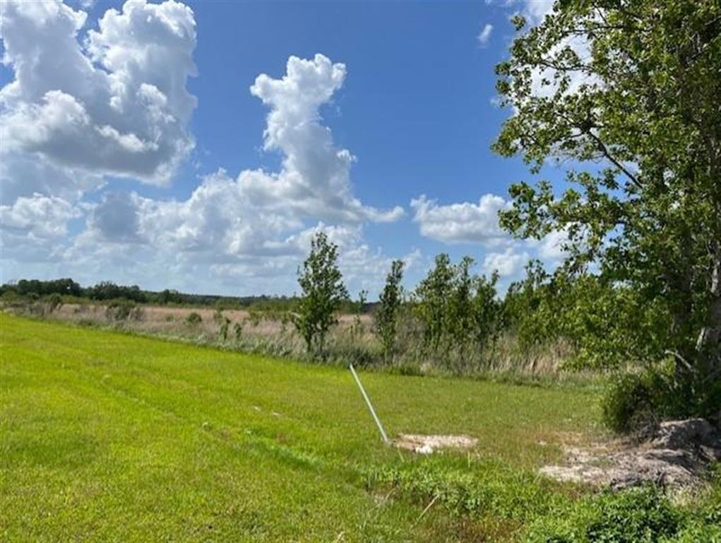 0 Eloi Ortego Road Kinder, LA 70648 - Photo 1 of 1 Gallery Image 1