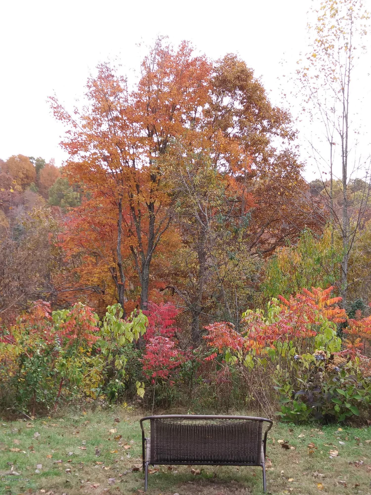 100 Snowbird Lane Bee Spring, KY 42207 - Photo 10 of 87 20171104_152633