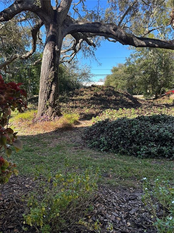 11485 Oakhurst Road, Unit 200114 Largo, FL 33774 - Photo 23 of 40