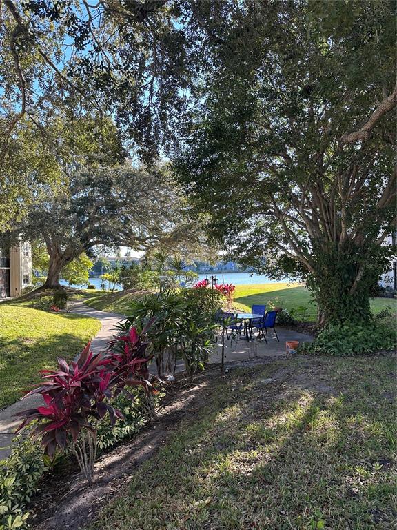 11485 Oakhurst Road, Unit 200114 Largo, FL 33774 - Photo 40 of 40 a view of a swimming pool with lawn chairs under an umbrella