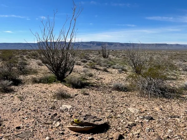 $7,995 | 208-21-068 Arlington Road, Yucca, AZ 86438