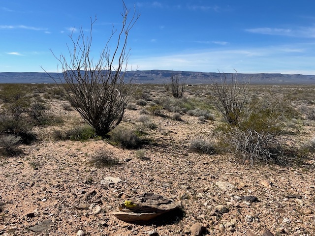 208-21-068 Arlington Road Yucca, AZ 86438 - Photo 1 of 18
