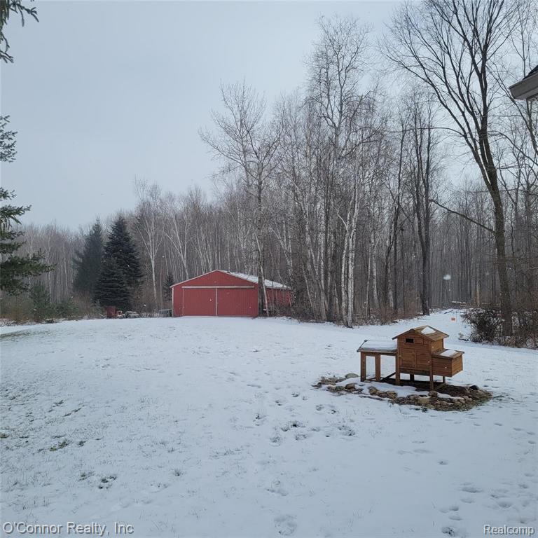 2845 Burr Road Applegate, MI 48401 - Photo 39 of 53