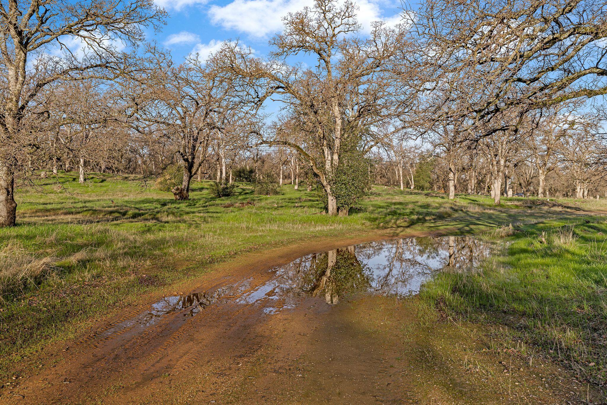 0 Monroe Street Red Bluff, CA 96080 - Photo 9 of 18 9