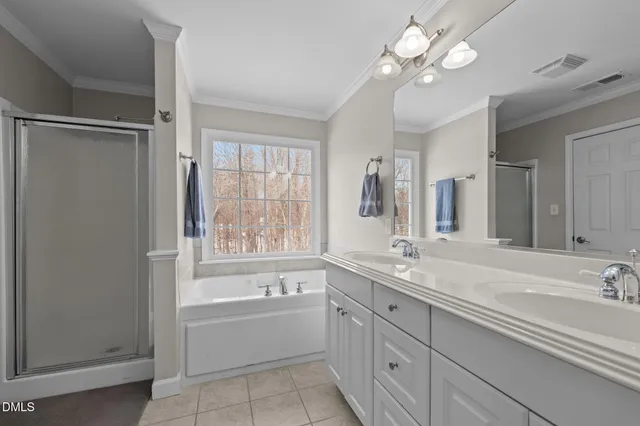 a bathroom with a tub a sink double vanity and a shower