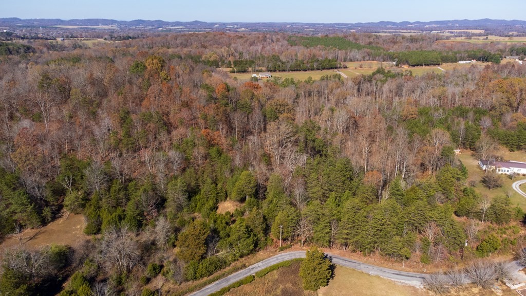 463 Co Road Englewood, TN 37329 - Photo 3 of 28
