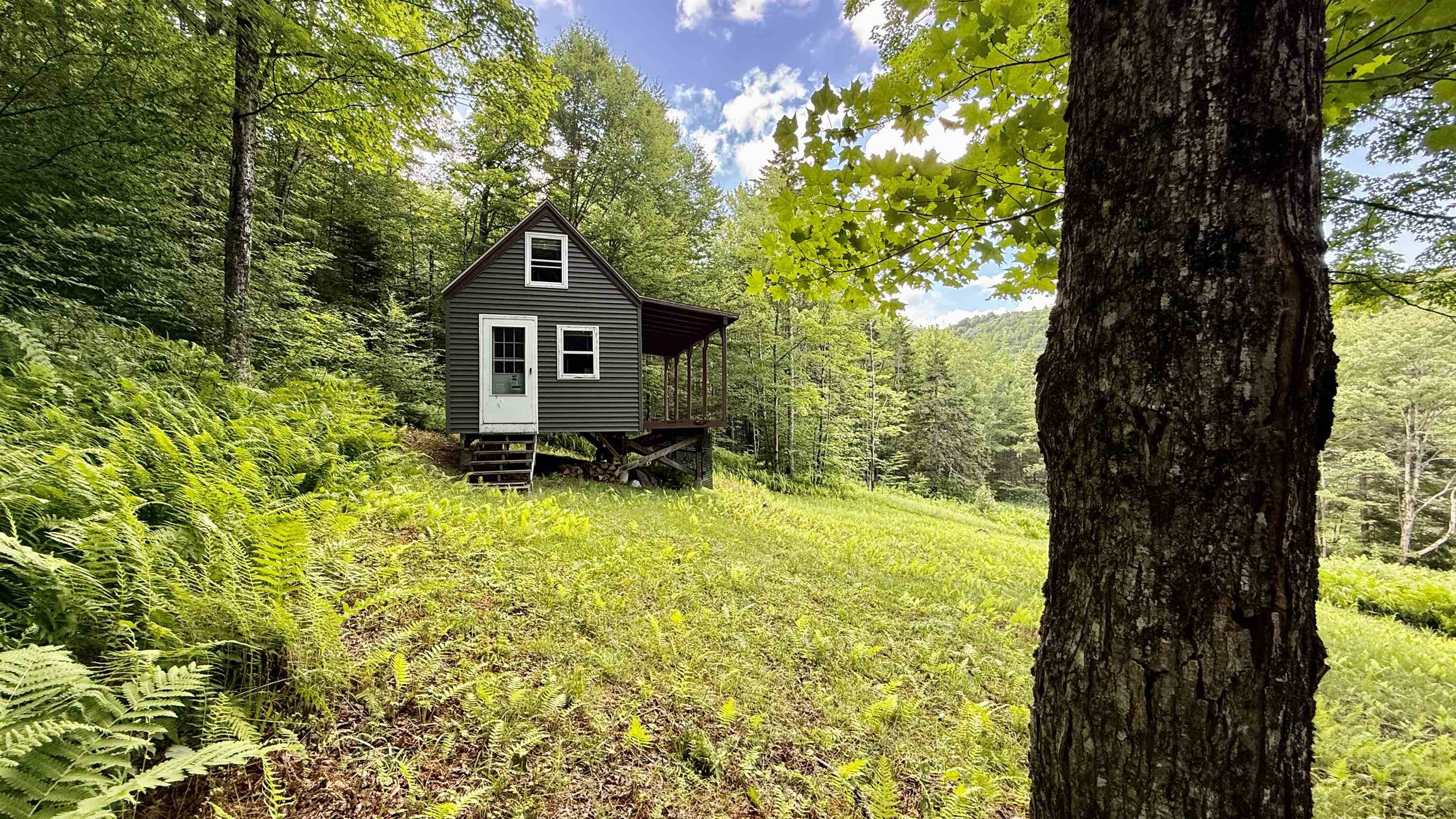 2075 Codding Hollow Road Johnson, VT 05656 - Photo 8 of 59