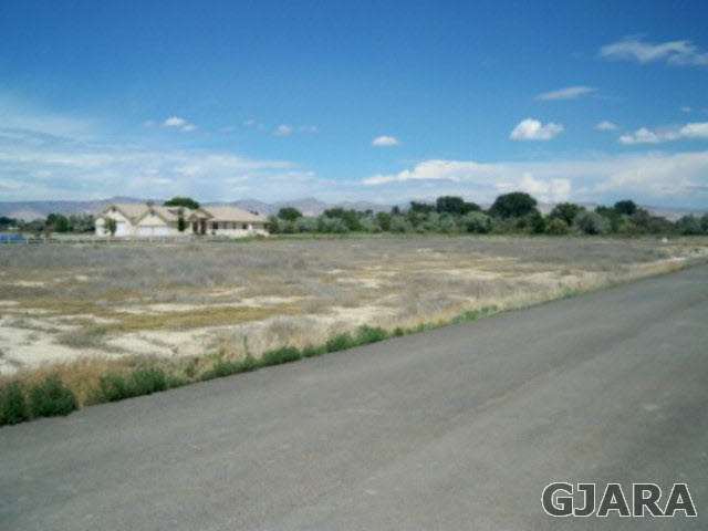 806 Mease Road Grand Junction, CO 81505 - Photo 3 of 5