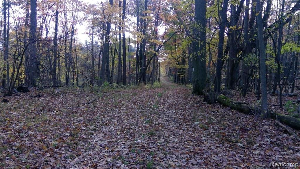 0 Hosner Road Oxford, MI 48370 - Photo 2 of 27