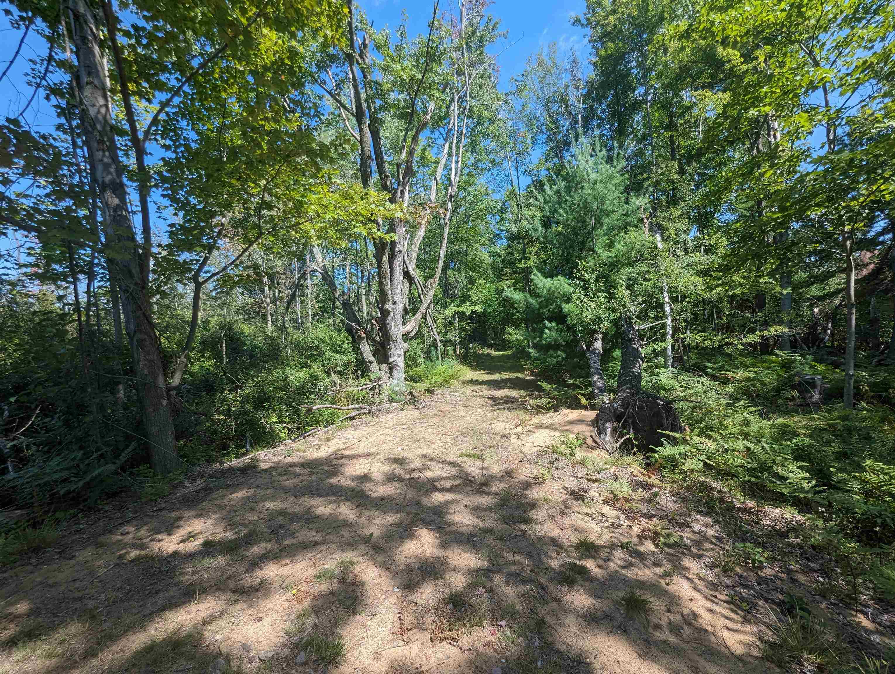 3876 Hottis Road Whittemore, MI 48770 - Photo 16 of 48