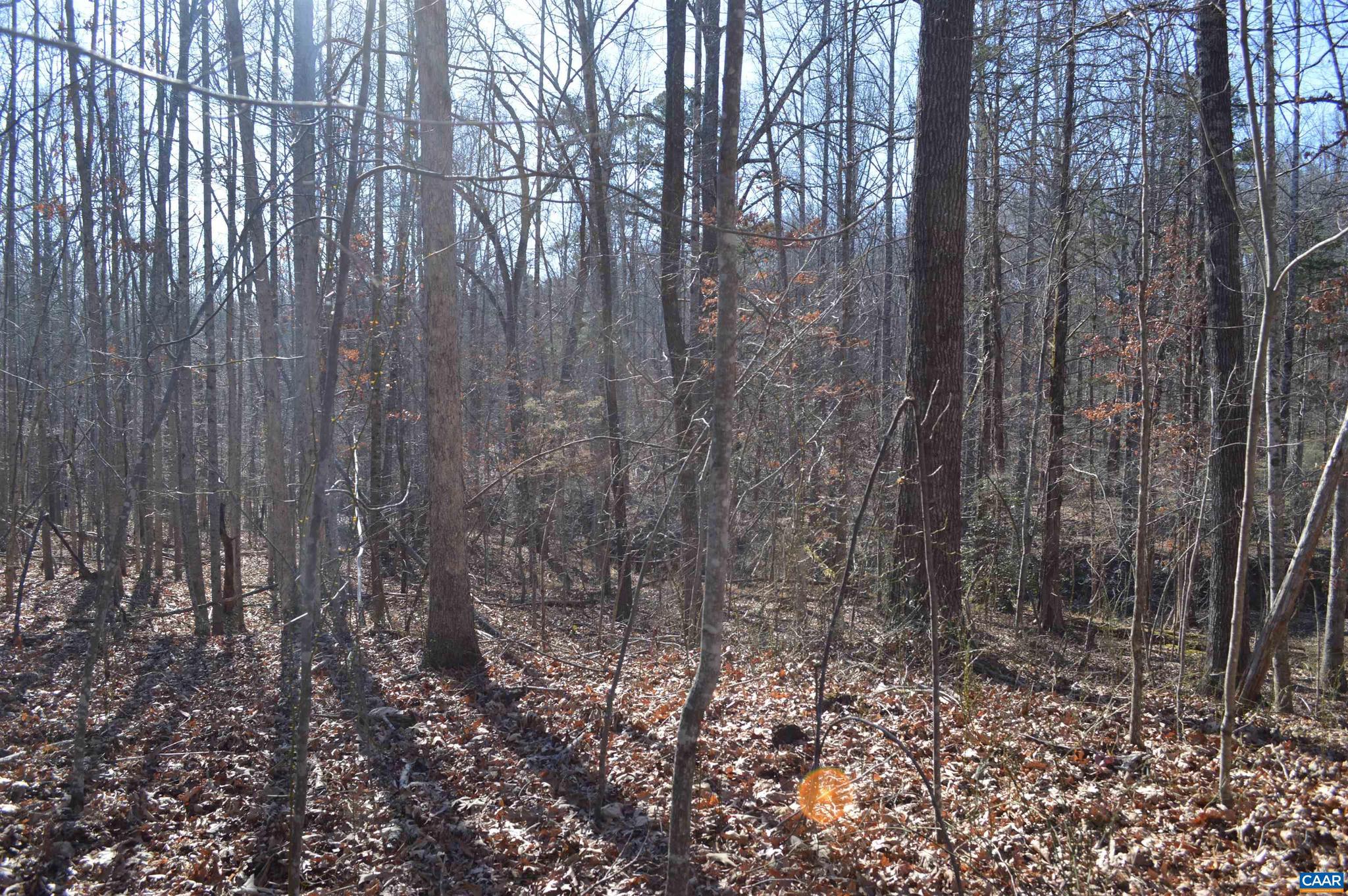 Frays Ridge, Unit 37 Earlysville, VA 22936 - Photo 7 of 18