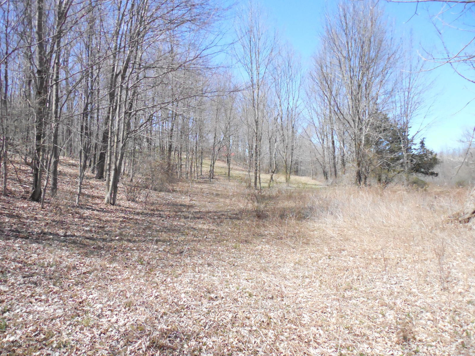 Burns Road Waymart, PA 18472 - Photo 2 of 7
