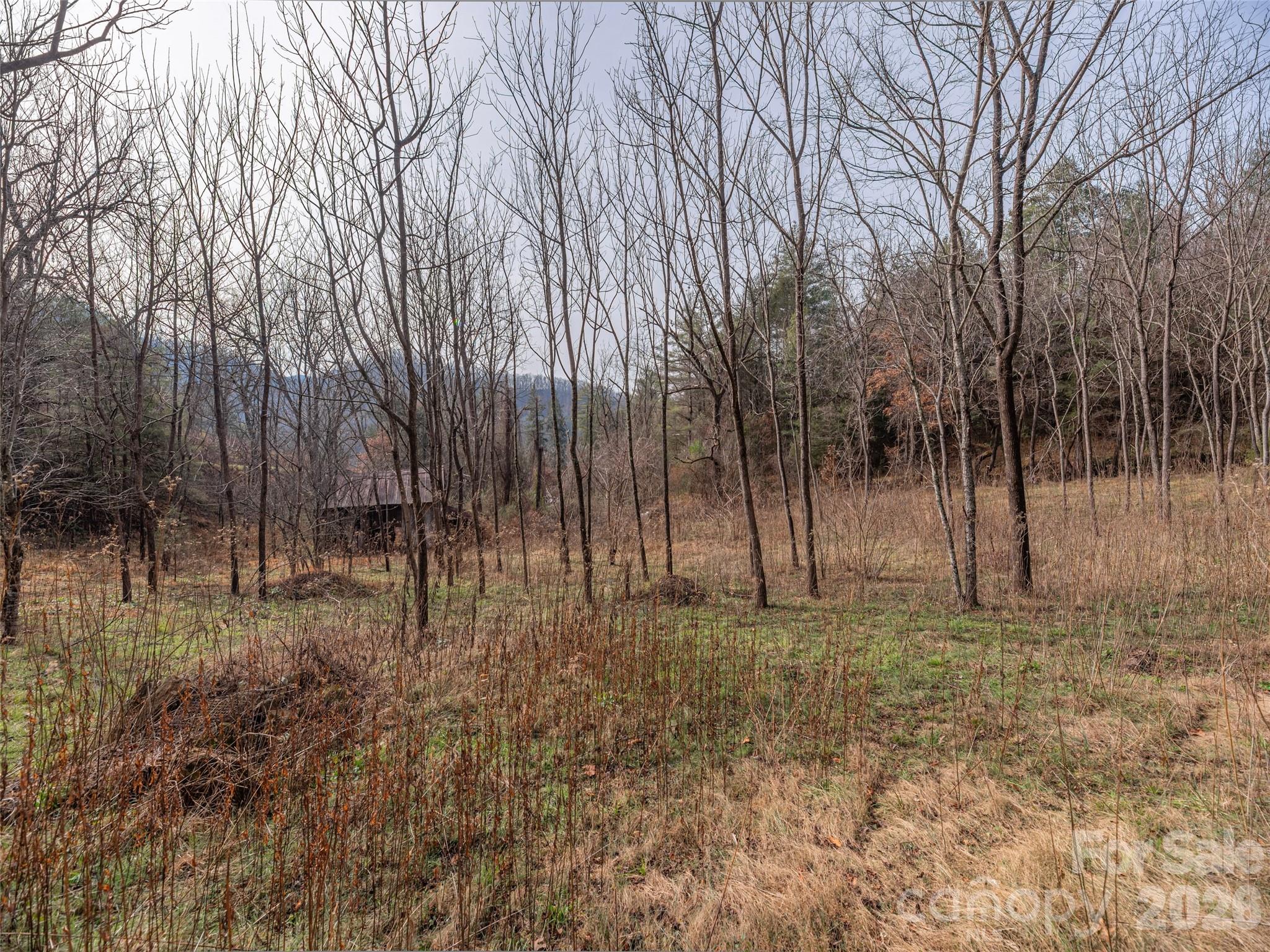 Lot 31 Hooper Cemetery Road Cullowhee, NC 28723 - Photo 12 of 25