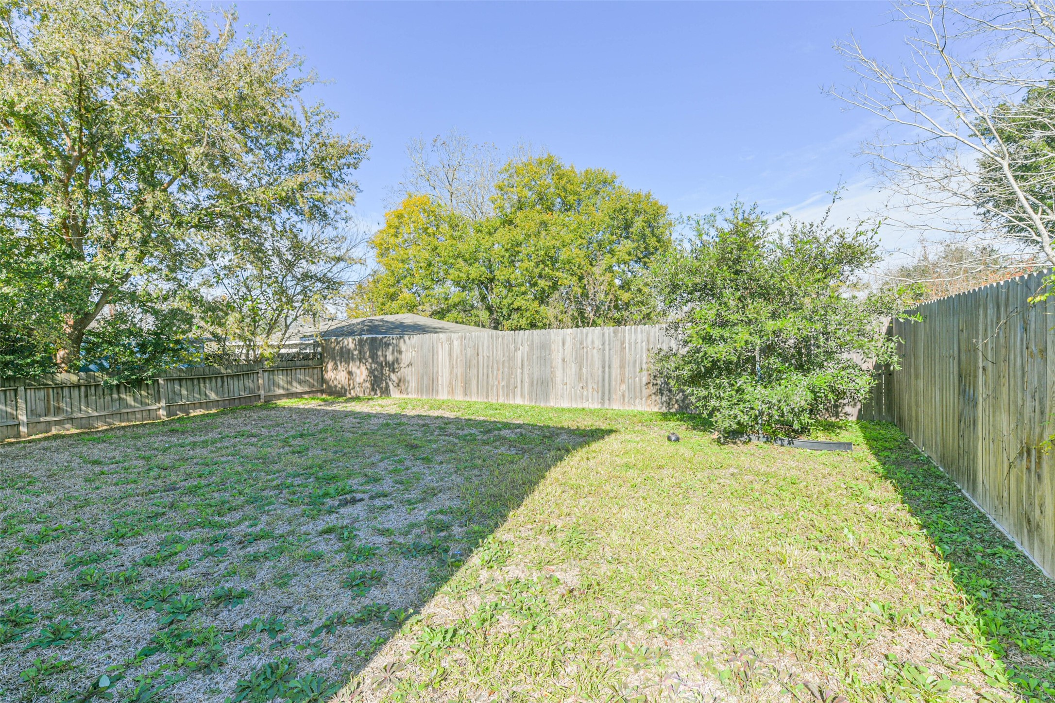 4405 Mallow Street Houston, TX 77051 - Photo 19 of 21 a view of a yard with an tree and wooden fence