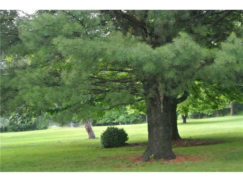 810 Evergreen Road Leechburg, PA 15656 - Photo 3 of 12 Land/Lot. Absolutely beautiful parklike setting