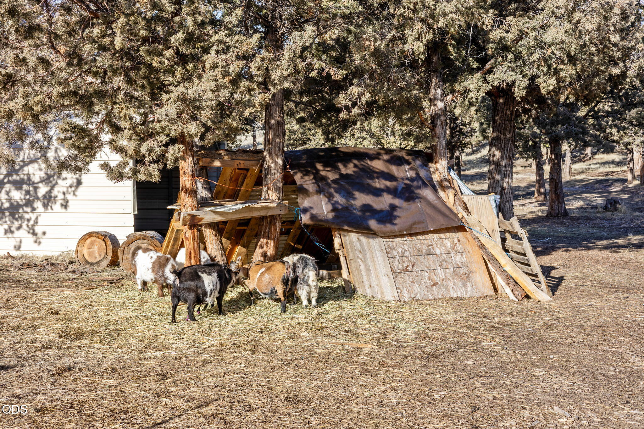 3199 Southeast Maphet Road Prineville, OR 97754 - Photo 40 of 45 Gallery Image 40
