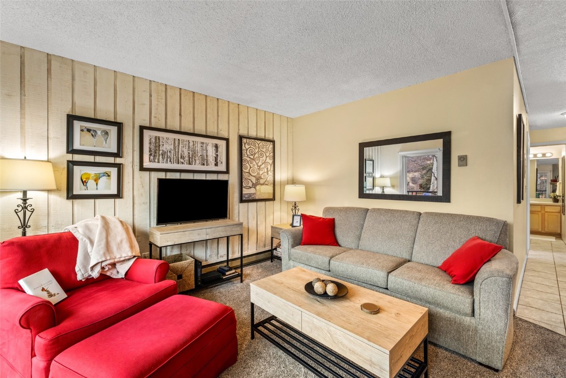 2883 Burgess Creek Road, Unit 208 Steamboat Springs, CO 80487 - Photo 18 of 22 a living room with furniture a flat screen tv and a window