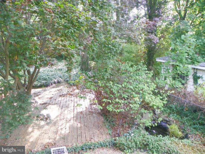 10 Decatur Avenue Annapolis, MD 21403 - Photo 8 of 30 a view of yard