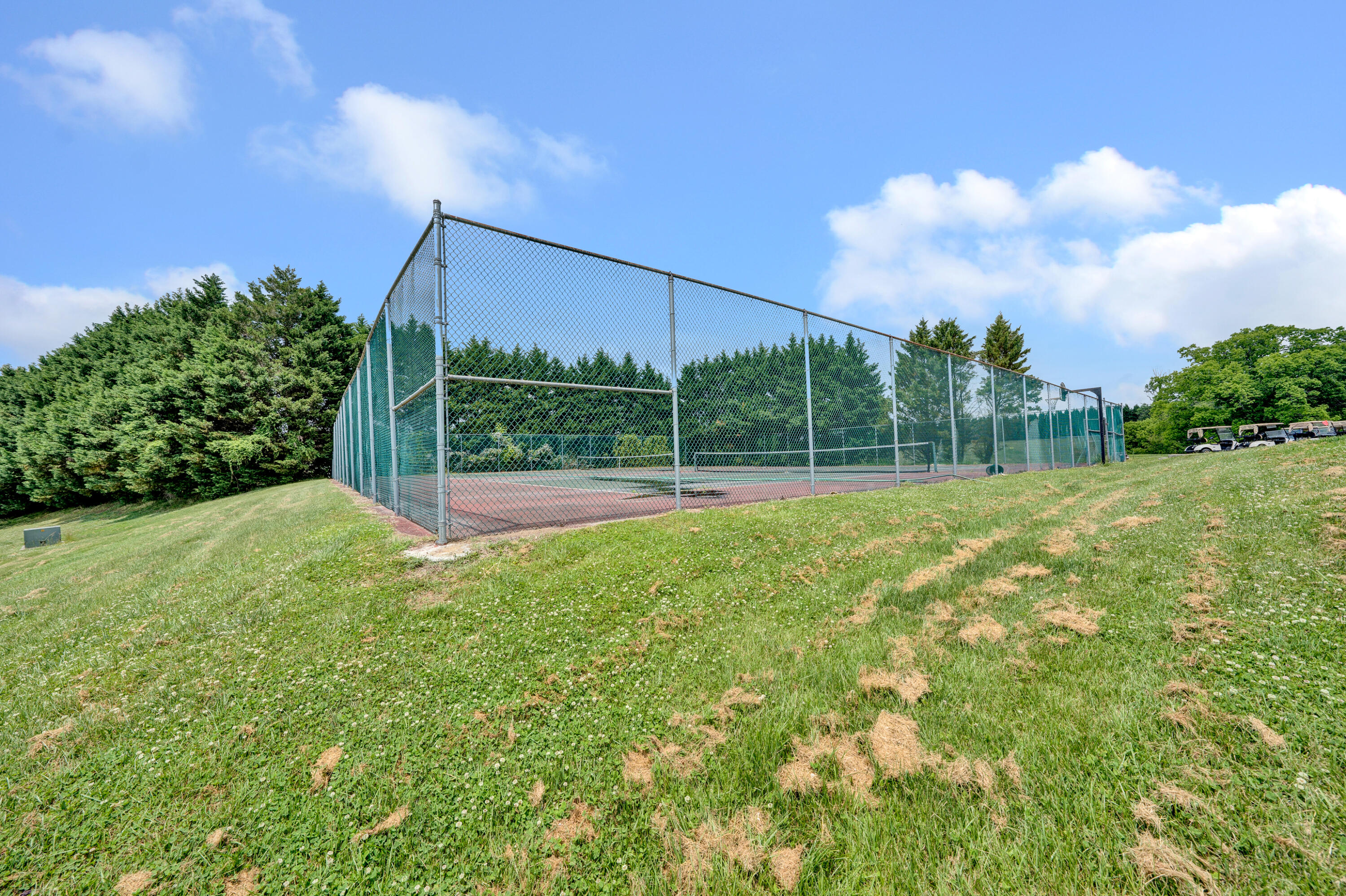 56 Scarlet Street Hardy, VA 24101 - Photo 38 of 42 a view of a field with a tree in front of it