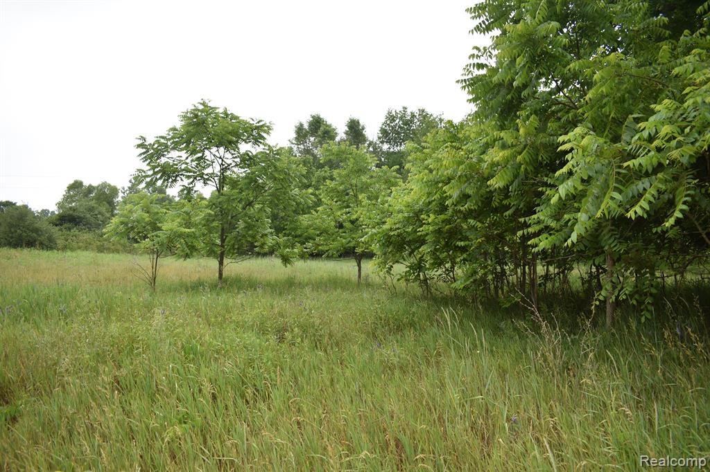 P-c South State Road Perry, MI 48872 - Photo 2 of 3