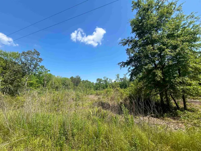 $35,000 | 0 Ochlockonee River Road, Havana, FL 32333