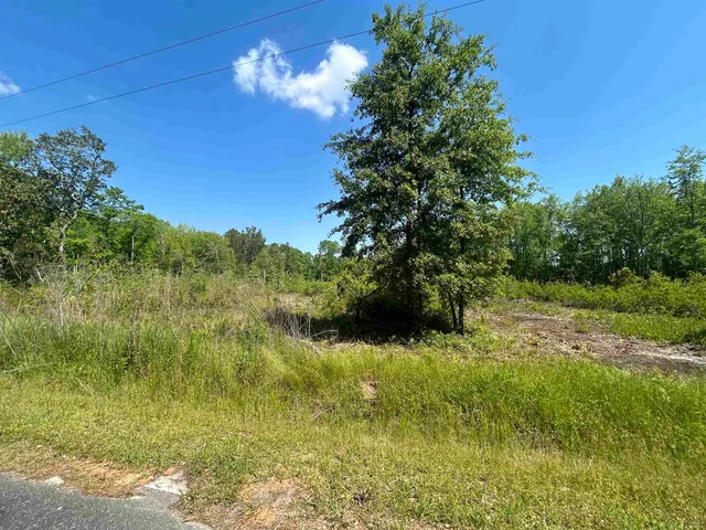 $35,000 | 0 Ochlockonee River Road, Havana, FL 32333