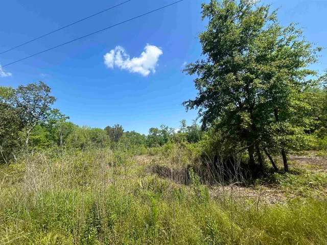 $35,000 | 0 Ochlockonee River Road, Havana, FL 32333