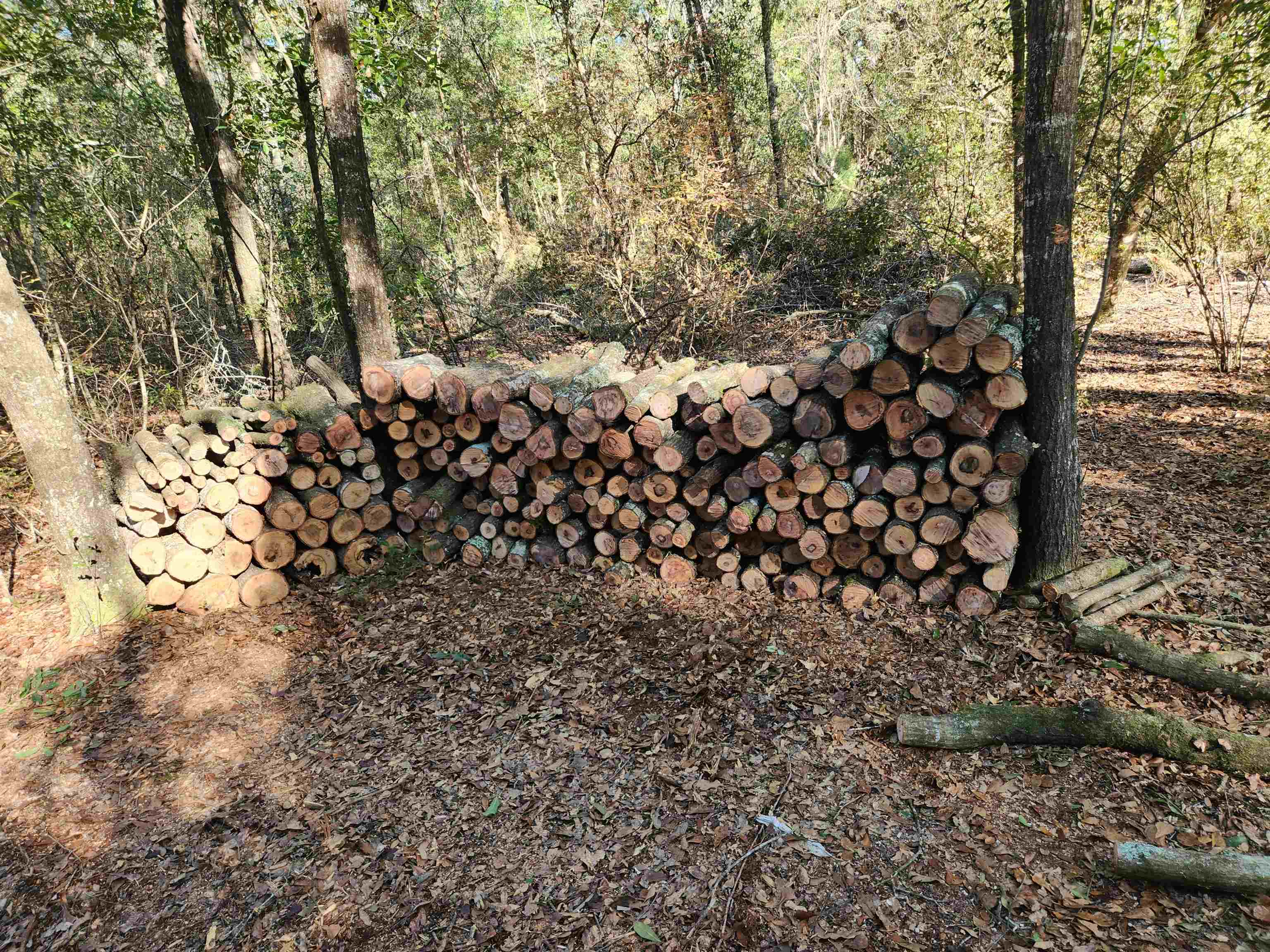 0 Ochlockonee River Road Havana, FL 32333 - Photo 8 of 10