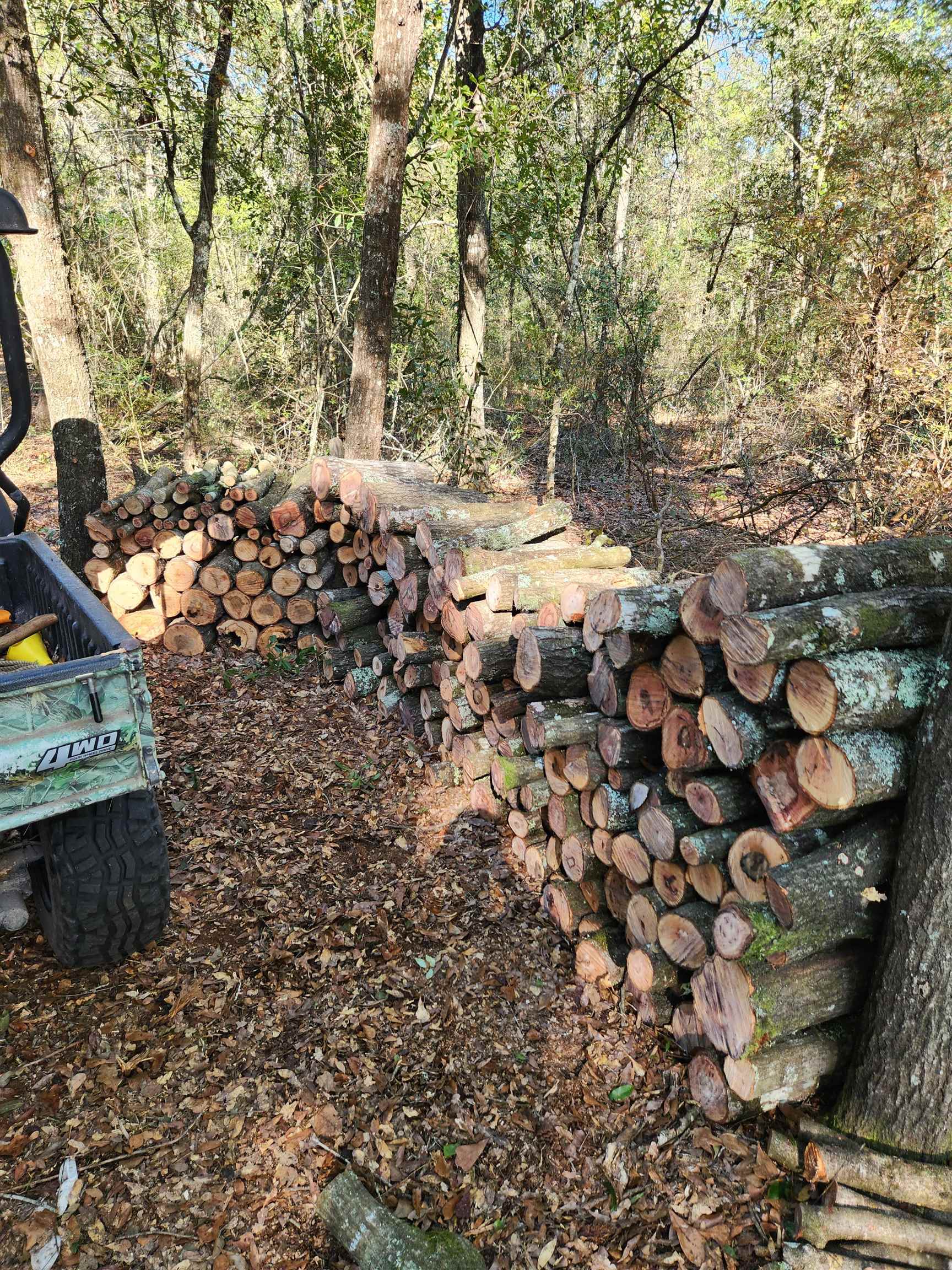 0 Ochlockonee River Road Havana, FL 32333 - Photo 9 of 10