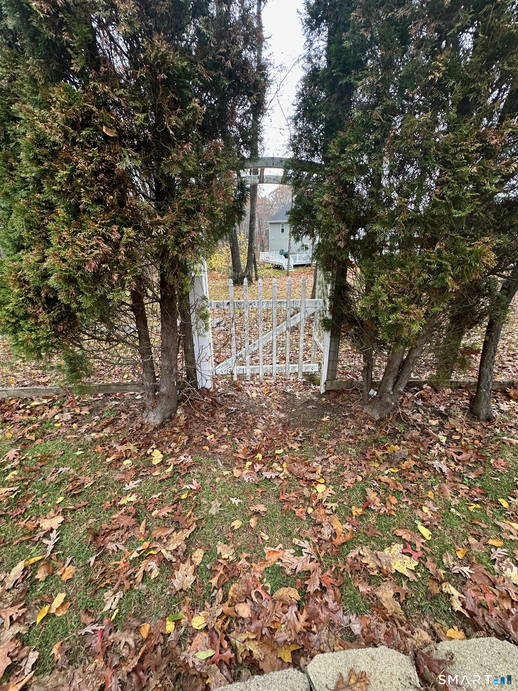 120 Tyler Way Bristol, CT 06010 - Photo 36 of 40 a view of yard