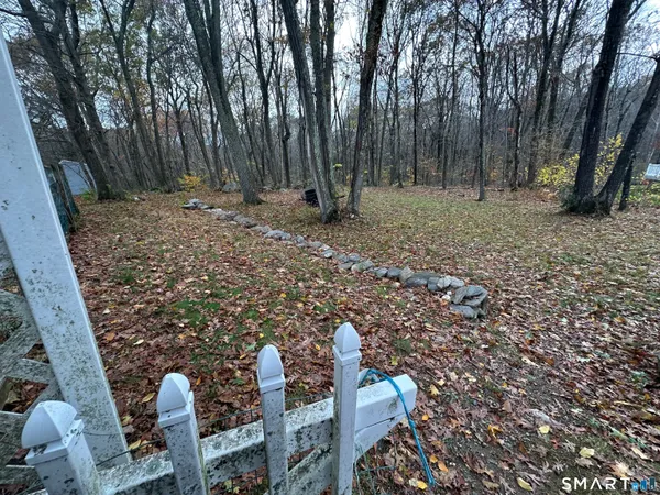 a tree in the middle of a yard
