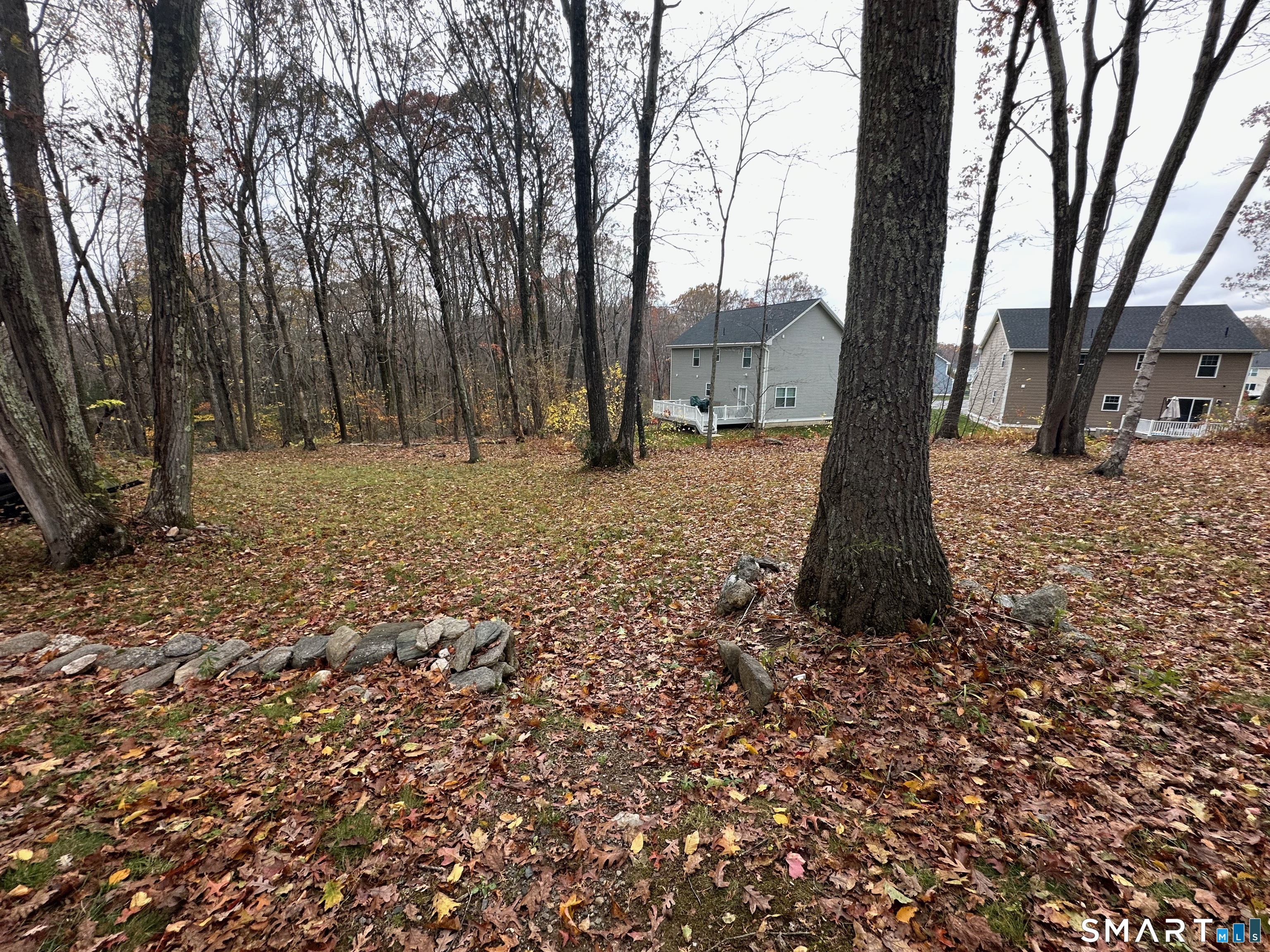 120 Tyler Way Bristol, CT 06010 - Photo 38 of 40 a tree in the middle of a yard