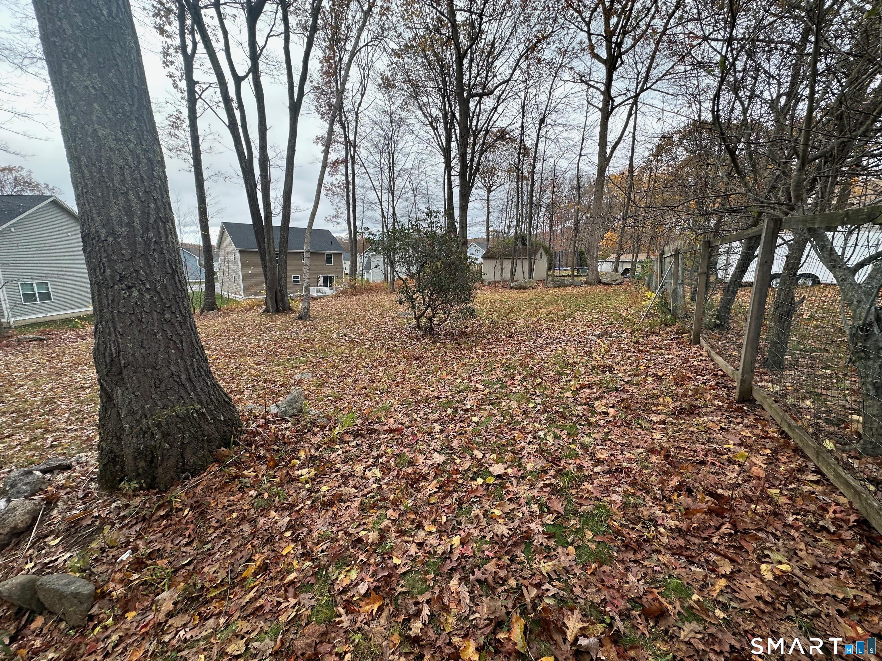 120 Tyler Way Bristol, CT 06010 - Photo 39 of 40 a view of a yard with plants and trees