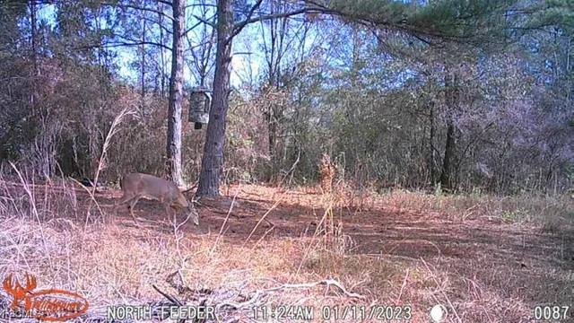 a view of a bathroom
