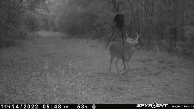 $450,000 | Big Joe Road, Monticello, FL 32344