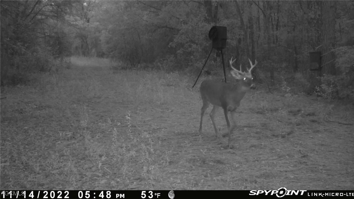 Big Joe Road Monticello, FL 32344 - Photo 6 of 8 a view of a bathroom