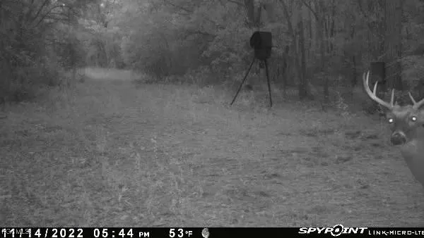 $450,000 | Big Joe Road, Monticello, FL 32344