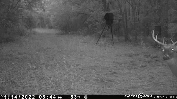 Big Joe Road Monticello, FL 32344 - Photo 7 of 8 a view of a bathroom