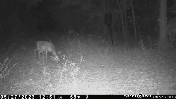 $450,000 | Big Joe Road, Monticello, FL 32344