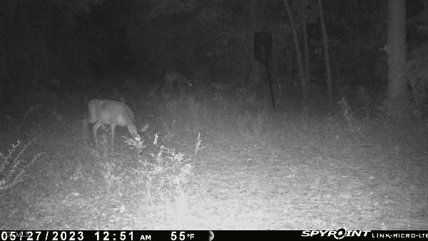 Big Joe Road Monticello, FL 32344 - Photo 8 of 8