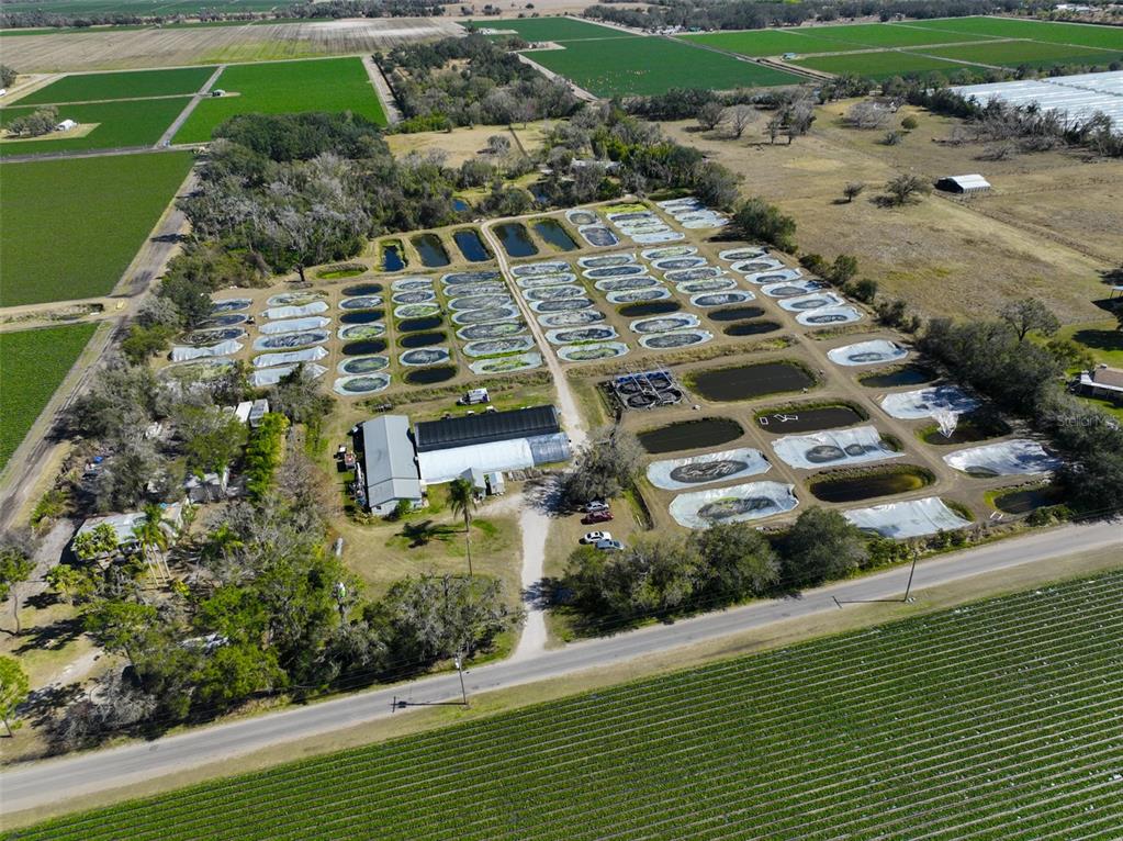 20112 Hobbs Road Wimauma, FL 33598 - Photo 55 of 94 an aerial view of residential houses with outdoor space