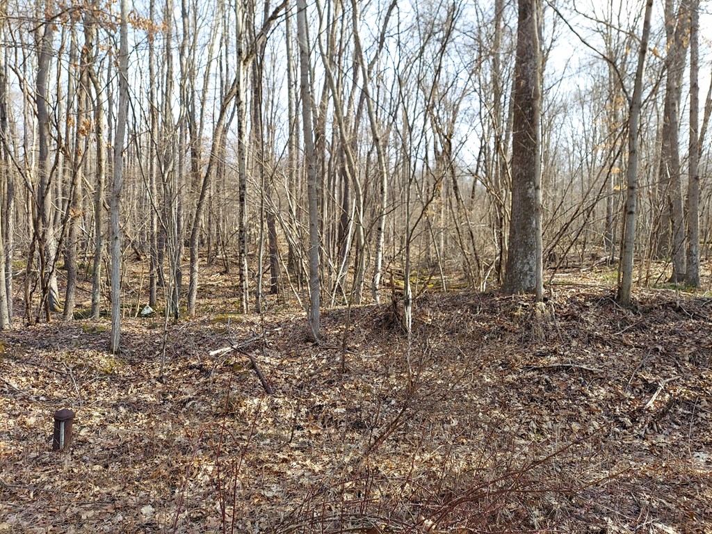 2034 Patchel Run Road Franklin, PA 16323 - Photo 16 of 16