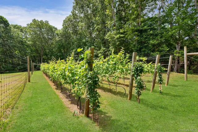 $40,000 | 2905 Private Road, East Marion, NY 11939