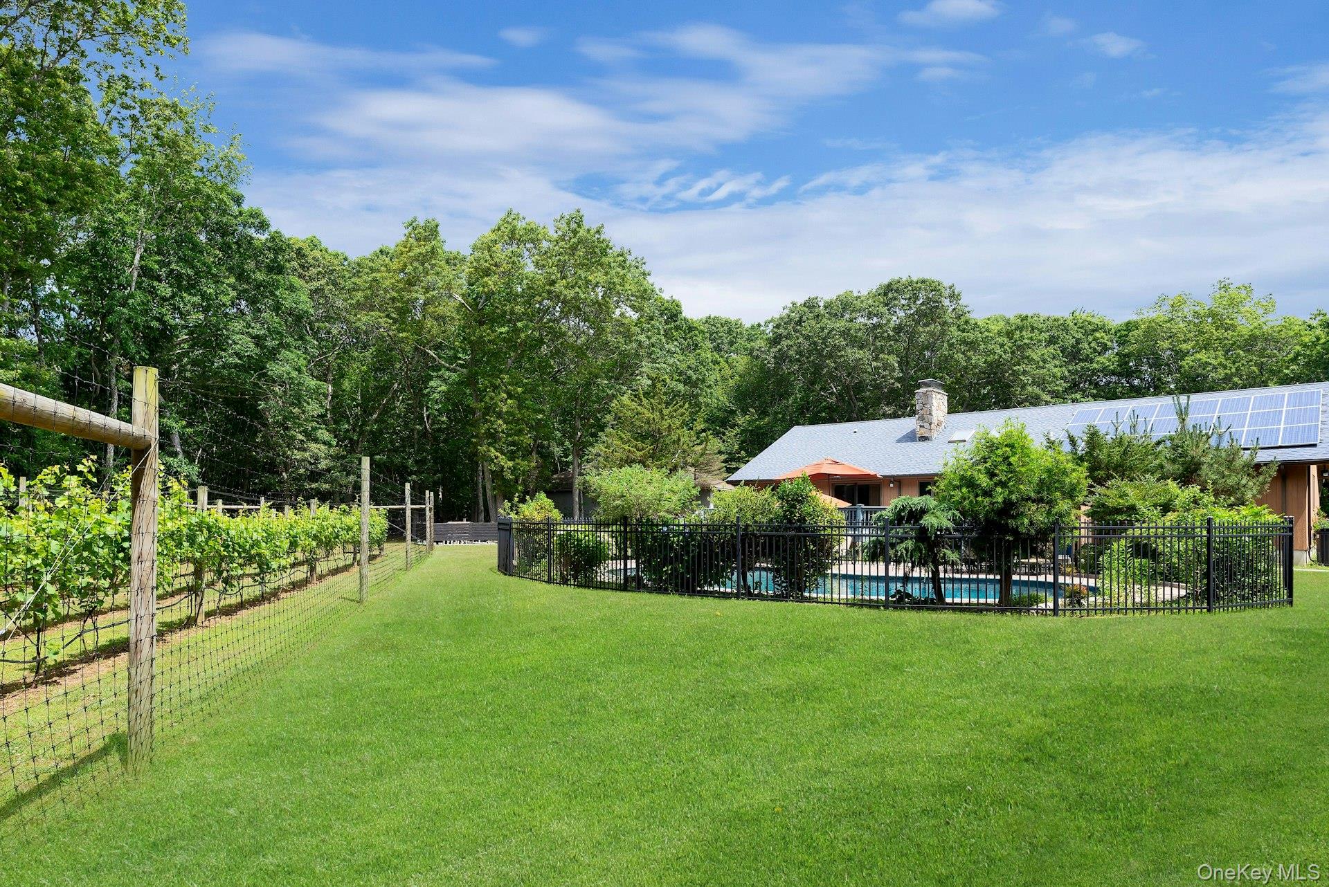 2905 Private Road East Marion, NY 11939 - Photo 29 of 33 View of yard