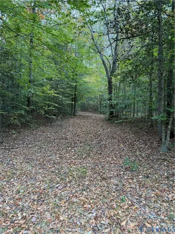 a view of a yard with trees